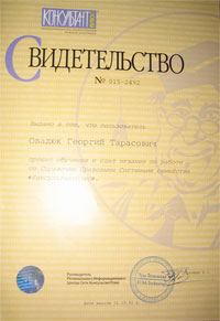 Свидетельство "Консультант Плюс".